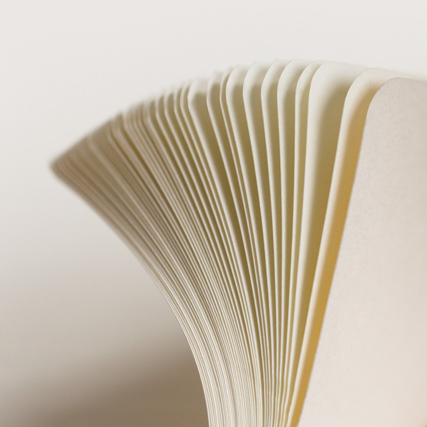 Leuchtturm1917 Softcover A5 Medium Notebook Sage - 点状